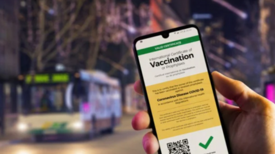 Нова далавера: Продават фалшиви сертификати за ваксинация срещу Ковид-19