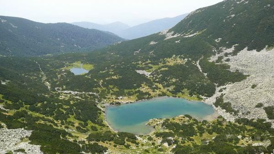 Serbia builds summer ski slopes in a national park. Toma Belev does not allow anything happens in Bulgaria