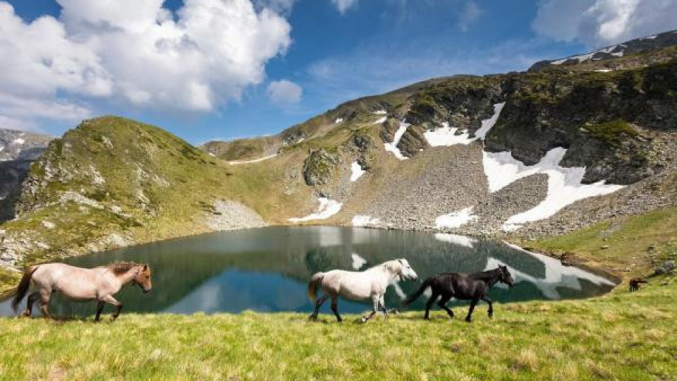 Toma Belev is lying for Vitosha Mountain and Borovets