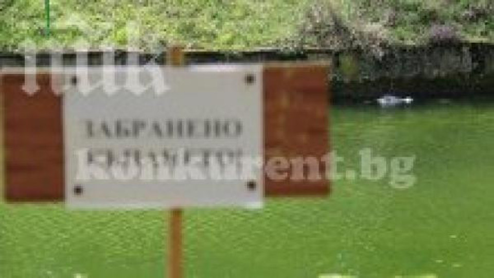 Труп изплува в езеро край Враца (снимки) Труп изплува в езеро край Враца (снимки)