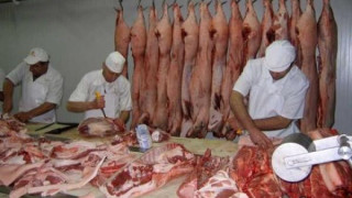 Разследват фирма, пращала „бели роби” в германски кланици