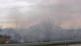 Подпалиха лозята на бившия министър Вилхелм Краус