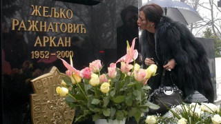 Синът на Аркан: Слободан Милошевич не е убиецът на баща ми
