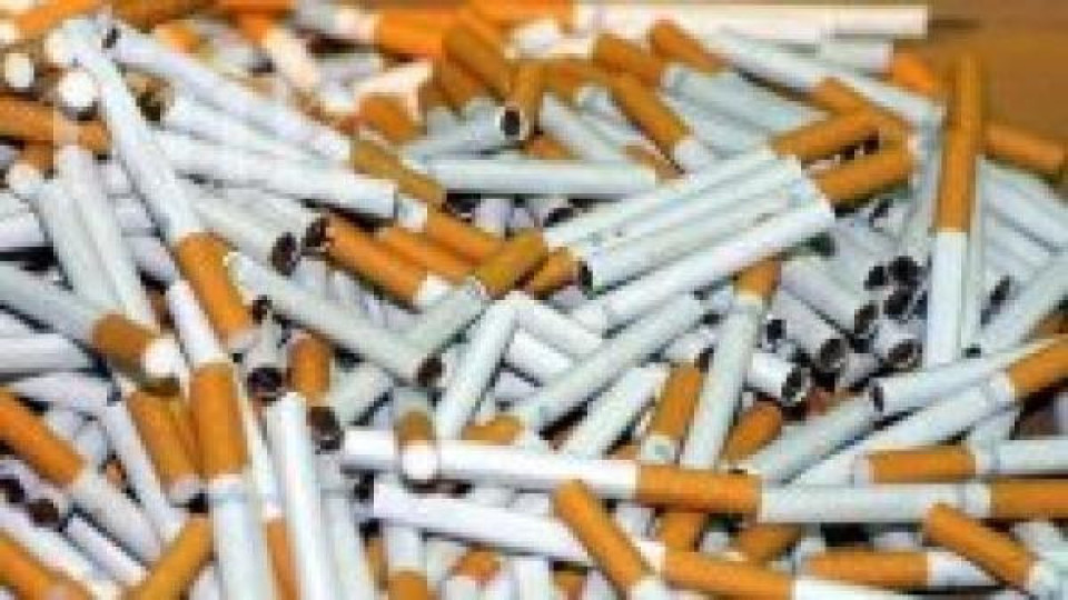 10 млн. незаконни цигари прекарват през границата дневно