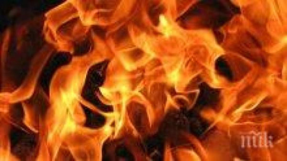 Три коли пламнаха в Благоевград през нощта - подозират враждуващи групи Три коли пламнаха в Благоевград през нощта - подозират враждуващи групи