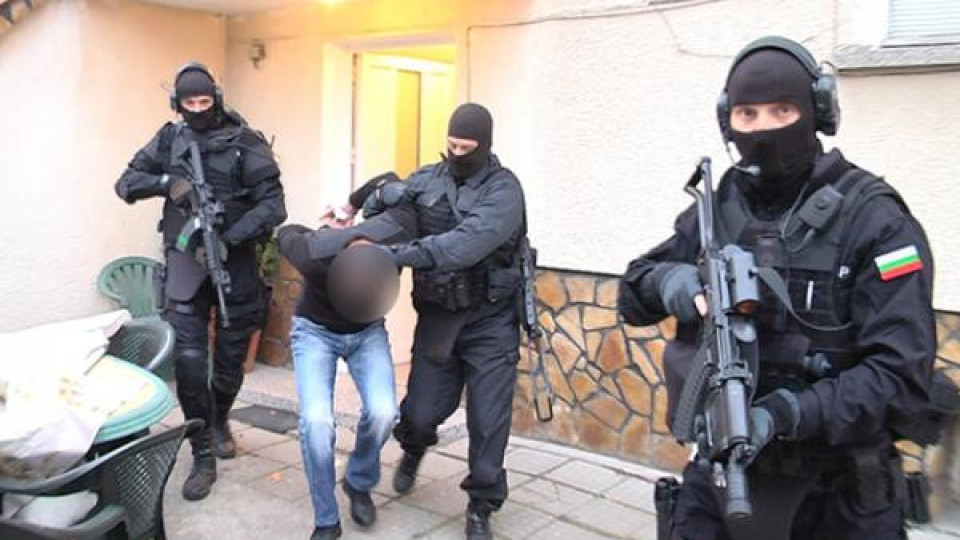 Надушиха наркооранжерия край София, има арестуван