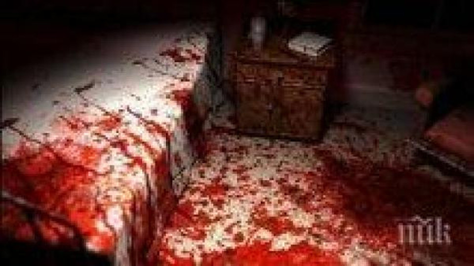 Зверство! Мъж уби майка си, размаза й главата Зверство! Мъж уби майка си, размаза й главата