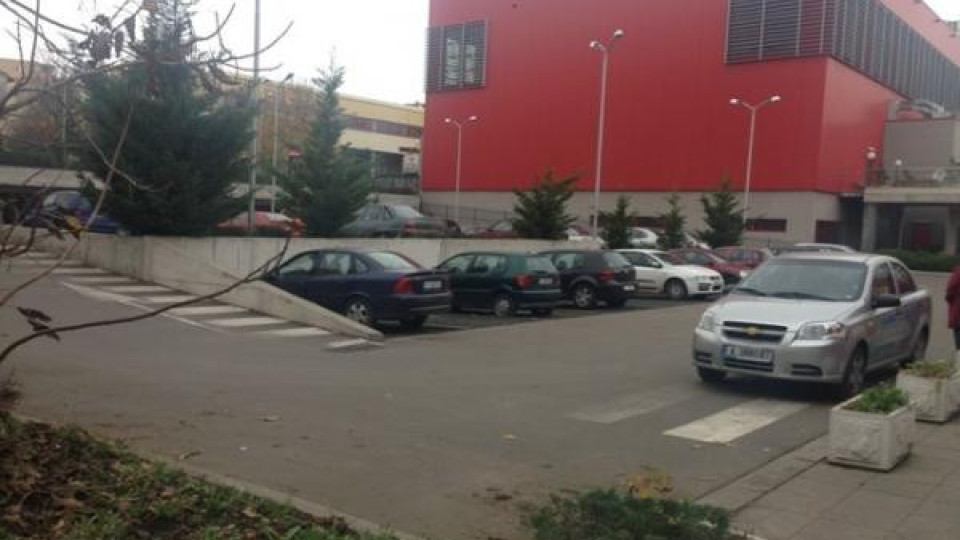 Спипаха Тасманийските дяволи от Меден рудник Спипаха Тасманийските дяволи от Меден рудник