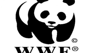 Закрилниците на Зелените – WWF, част от офшорните далавери в Панама