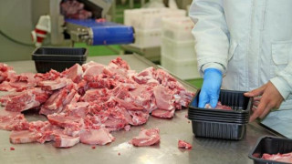 Внимание: Димитър Маджаров купи бракувано в Чехия месо с цел бърза печалба! (Брутални разкрития)