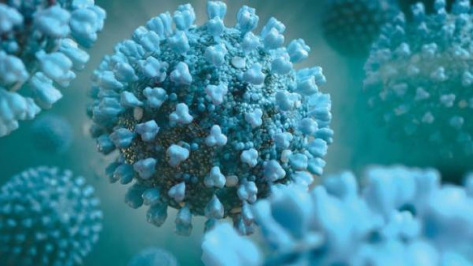 Експерт разкри: Можем ли да се заразим с коронавирус от парите?