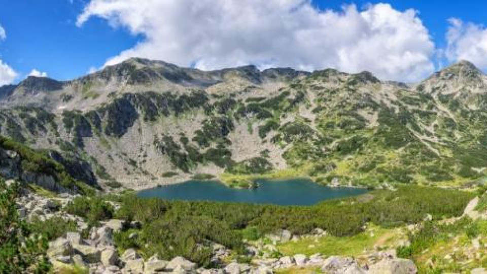 WWF-Bulgaria spread a lie about the wild goats on Pirin mountain