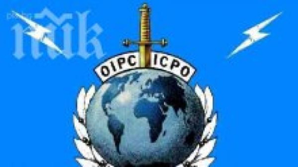 Интерпол се захваща с Шатката и Хосе, избягали от пандиза Интерпол се захваща с Шатката и Хосе, избягали от пандиза