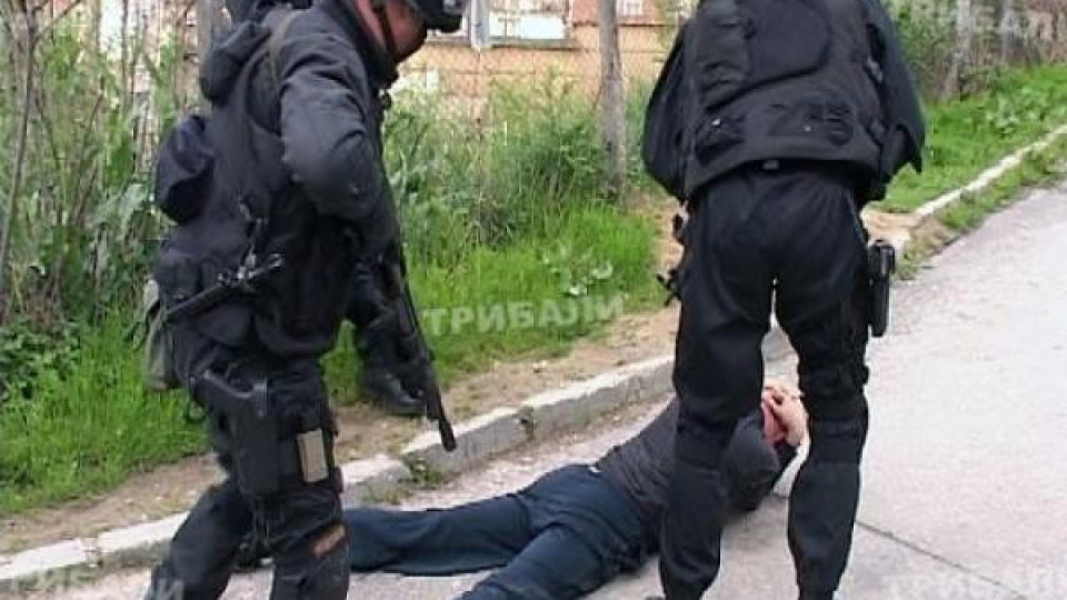 Върнаха в ареста 10-имата от "Монтанските Нагли" Върнаха в ареста 10-имата от "Монтанските Нагли"