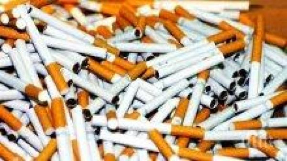 Иззеха цигари от ромския видински квартал "Нов път"