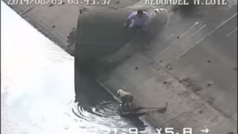 ВИДЕО: Мъж спаси куче, пропаднало в канал
