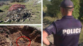 Ужасяваща находка в Стара Загора: Откриха яма с трупове