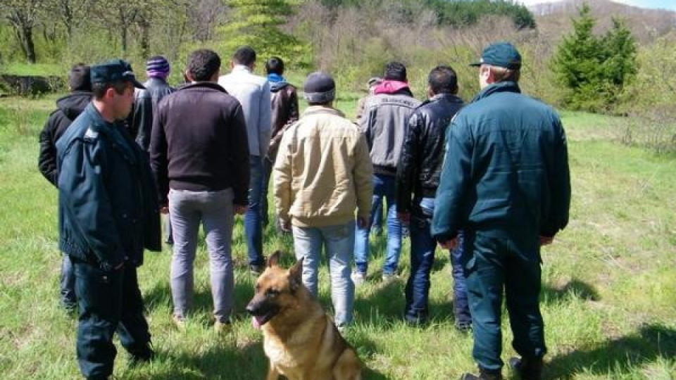 Задържаха трима араби обирали софиянци