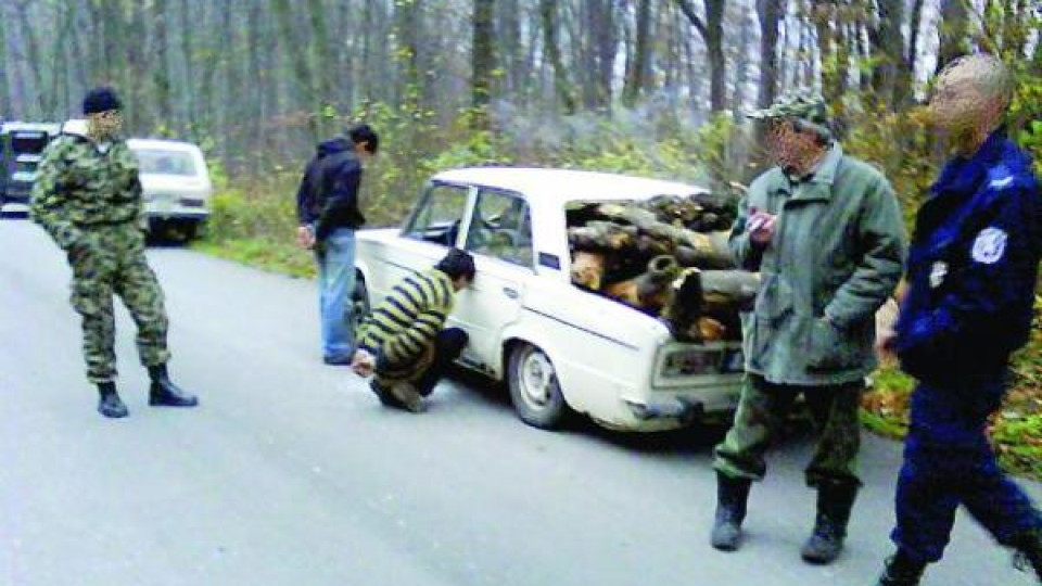 Четирима опасни бежанци се крият в горите край Резово