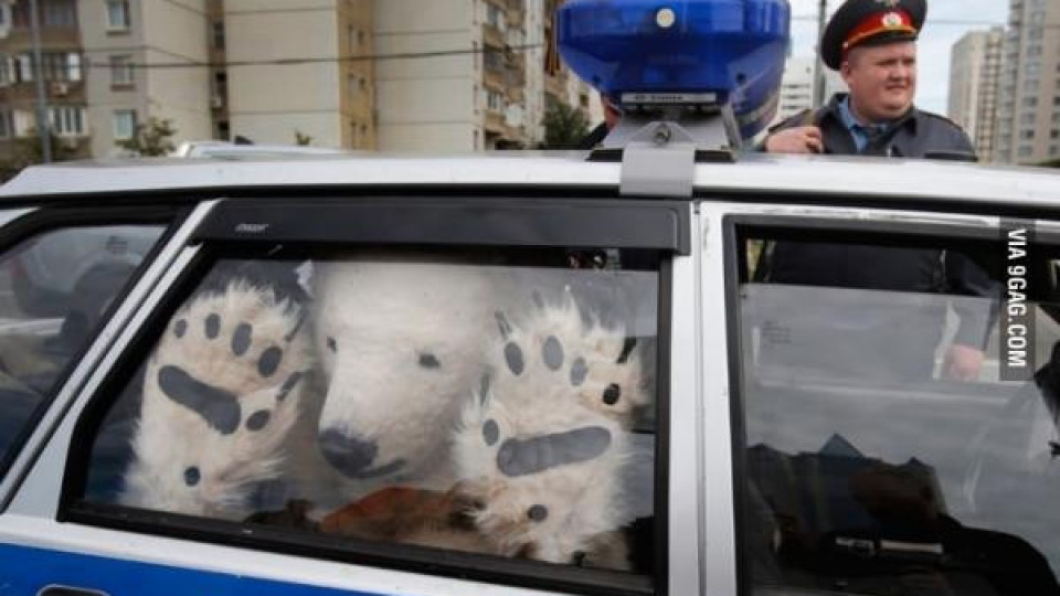 Арестуваха 8 "полярни мечки" от "Грийнпийс", разлели варели с петрол