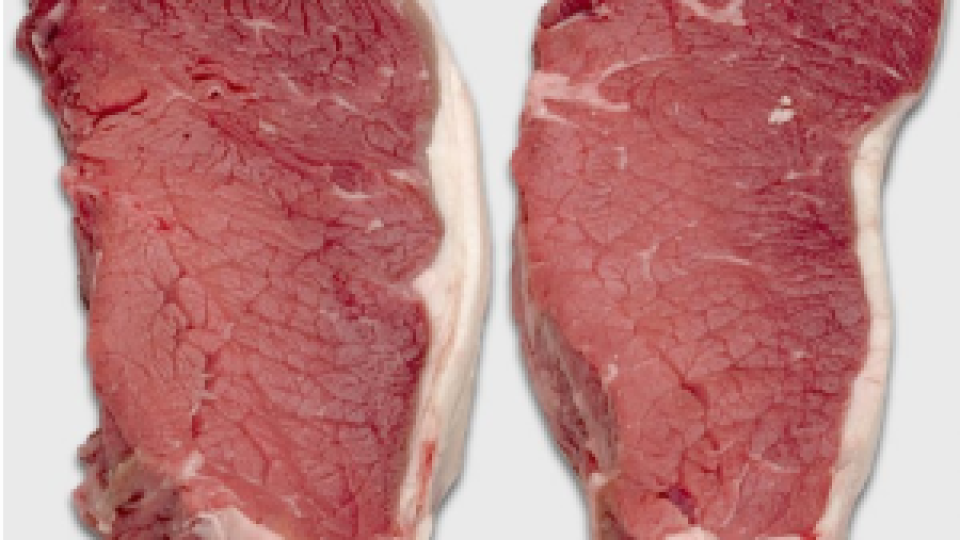 Франция изнася конско месо, предназначено за изследвания! Има ли опасност да стигне до България?