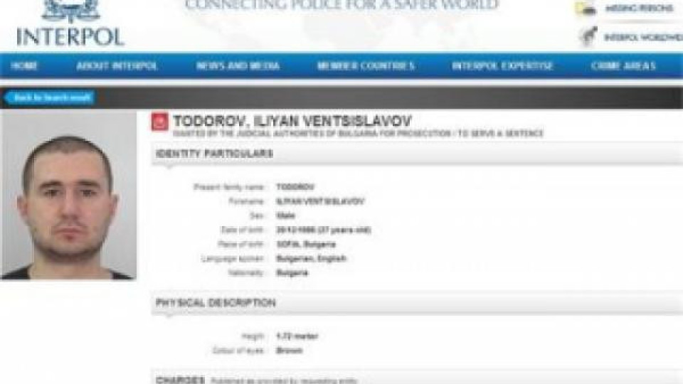 Интерпол издирва убиеца от "Соло" Интерпол издирва убиеца от "Соло"