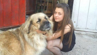 Нови разкрития около убийството на Мирослава от Перник