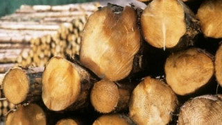 Заловиха четирима бракониери, жалват се от побой