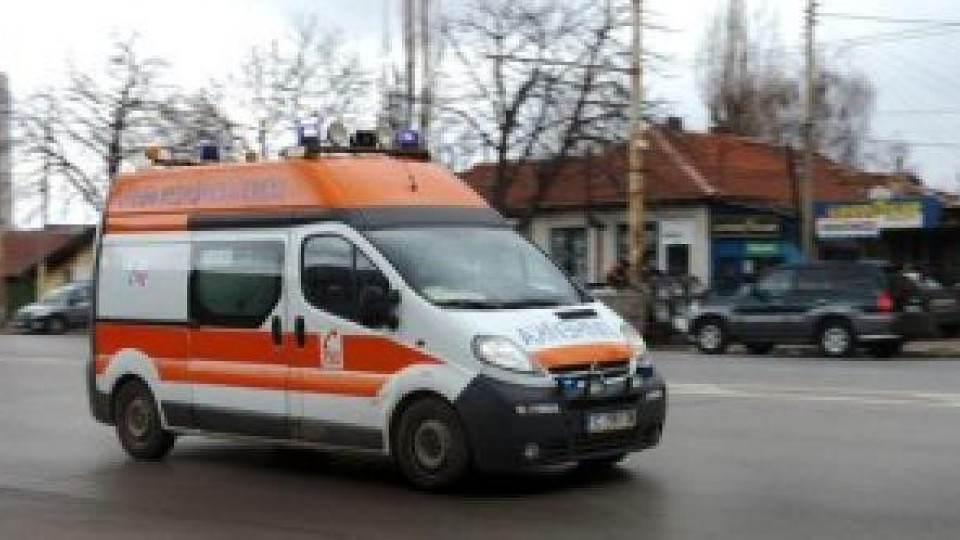 Запреви са силно изплашени! Те ще се подложат на детектор на лъжата! Запреви са силно изплашени! Те ще се подложат на детектор на лъжата!