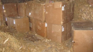 Откриха над 2 тона тютюн в сено