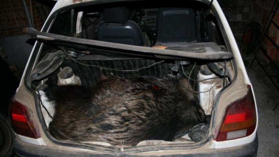 Служители на "Лукойл" незаконно бракониерстват край Несебър