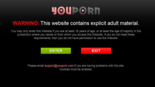 Задържаха собственика на Pornhub и YouPorn