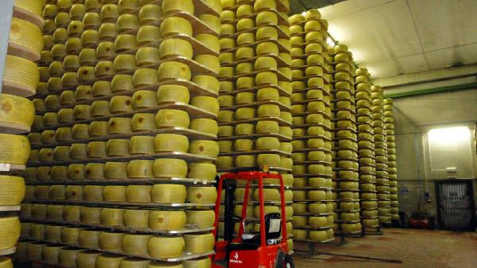 Тоновете сирене и кашкавал от държавния резерв са продадени в Гърция Тоновете сирене и кашкавал от държавния резерв са продадени в Гърция