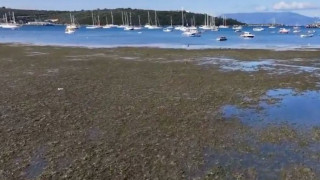 Морето в Турция се отдръпна на повече от 30 м от брега, повод за паника ли е?