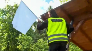 Врани нападат детска градина, гонят ги с бяло знаме