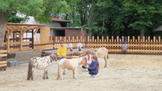 Борисовата градина вече има нова атракция