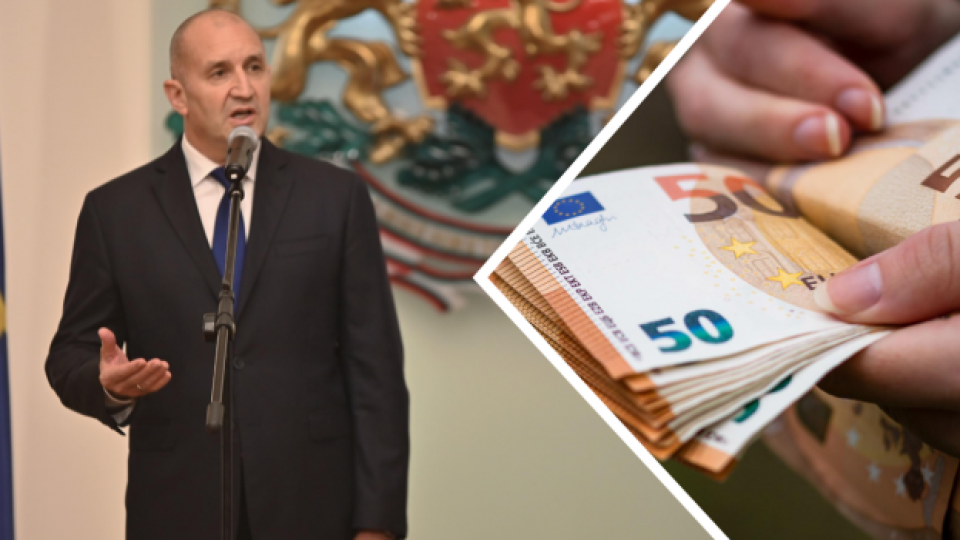 Референдум за еврото няма да има. Може ли председателят на парламента да отклони предложението на президент