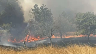Има ли човешка намеса - каква е причината за големия пожар в Българово