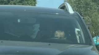Диана Русинова: В този момент любовта "да го държиш в ръце" се превръща в смъртна опасност