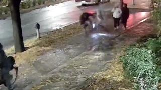 Ходенето по велоалея? ВИДЕО от Пловдив показва защо това не е добра идея
