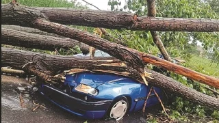 Обезобразена жена осъди АПИ