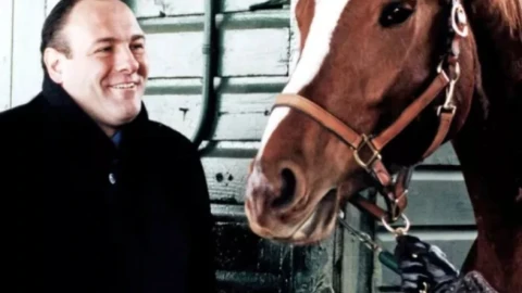 Много от най-изявено обичащите животните не показват никаква обич към хората