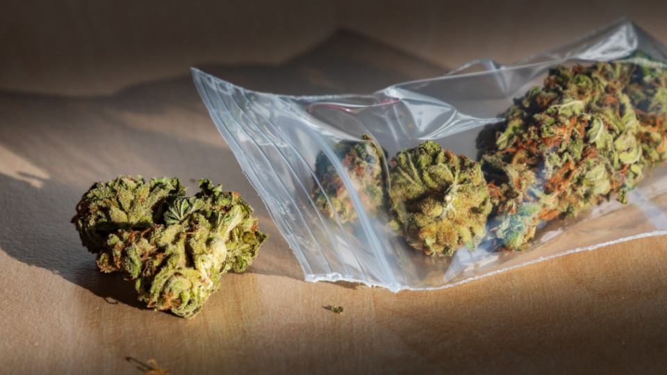 Задържаха с марихуана сина на Радан Кънев