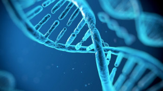 Откриха генетични "призраци" на отдавна изгубен народ