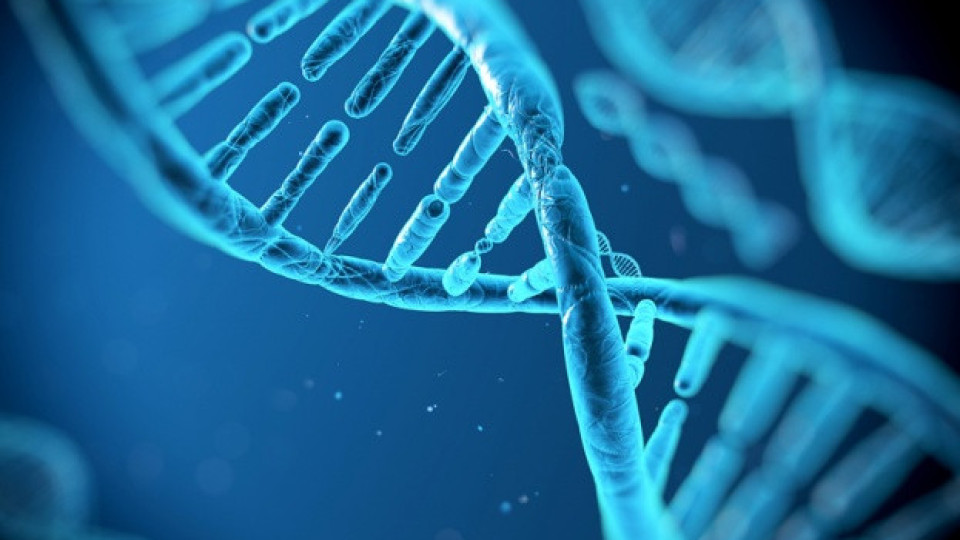 Откриха генетични "призраци" на отдавна изгубен народ