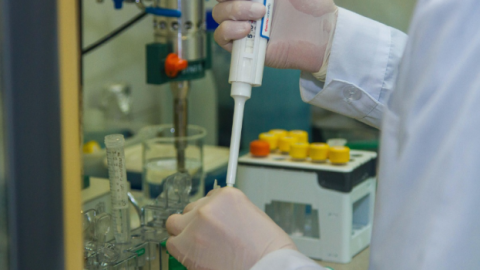 Учени откриха как да "подмладяват" кръвните стволови клетки