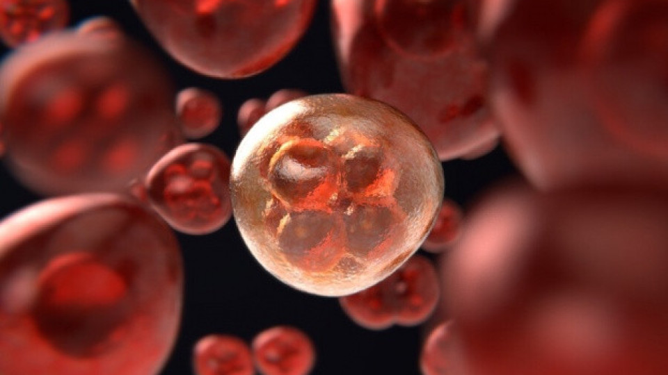 Надежда за нова терапия срещу рака