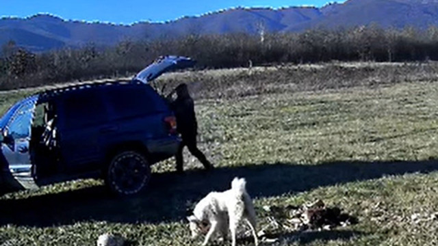 Ловци се вдигнаха на протест след убийството на ловно куче край Гурково