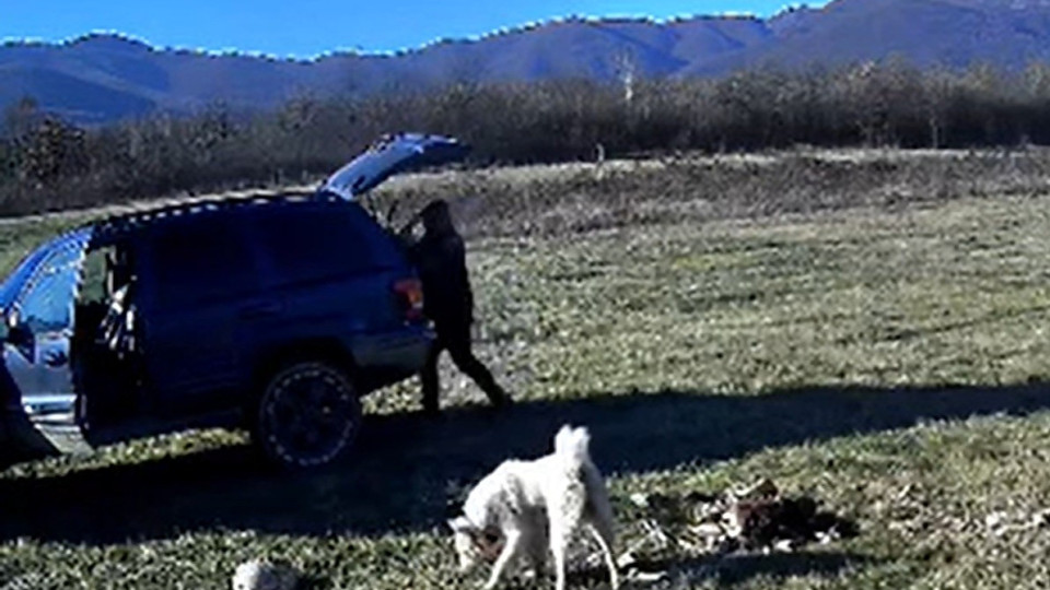 Ловци се вдигнаха на протест след убийството на ловно куче край Гурково