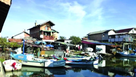 Чирозът удари по скъпотия калкана, продават го по 45 лева